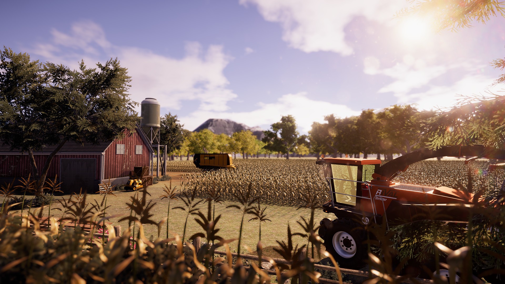 Real Farm
